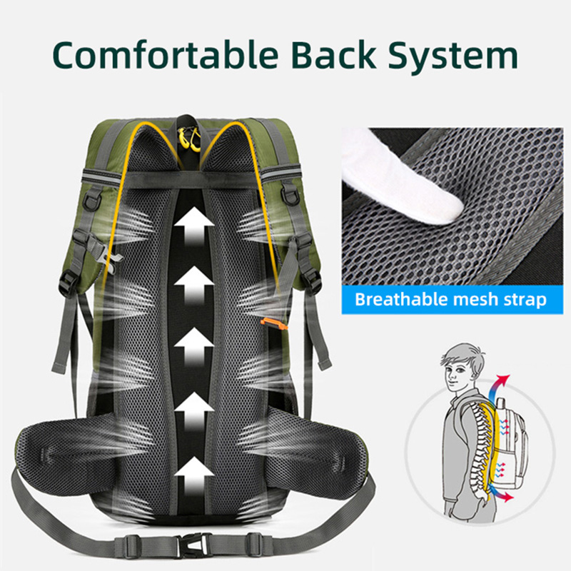 50L กระเป๋าเป้สะพายหลังผู้ชายข - Outdoor Camping Warehouse บทวิจารณ์และราคา